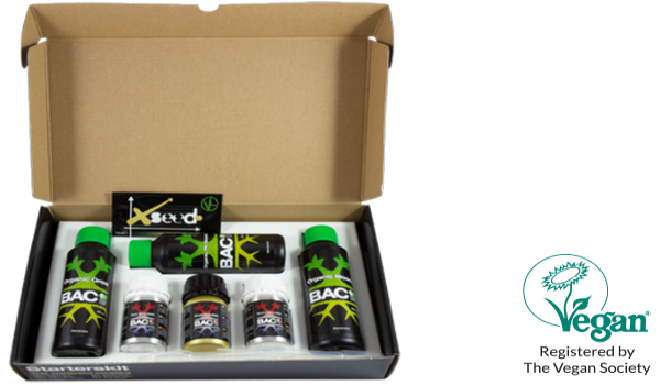 Lava-aarde Lava-aarde